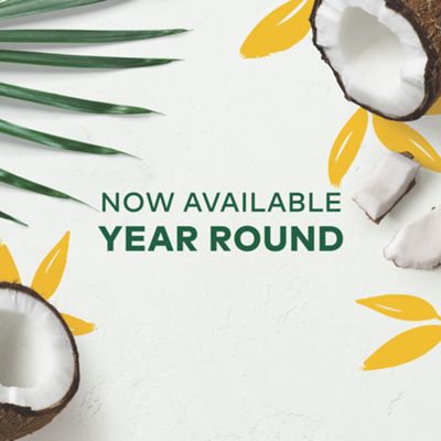 Keurig K-Cup Coffee Island Coconut Coffee - Image 2